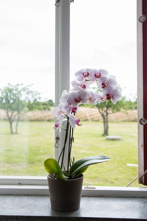 Faroegarden Bed & Breakfast Fårö Bagian luar foto